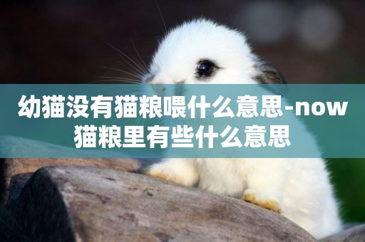 幼貓沒有貓糧喂什么意思-now貓糧里有些什么意思
