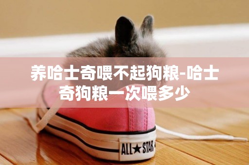養哈士奇喂不起狗糧-哈士奇狗糧一次喂多少
