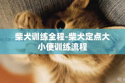 柴犬訓練全程-柴犬定點大小便訓練流程