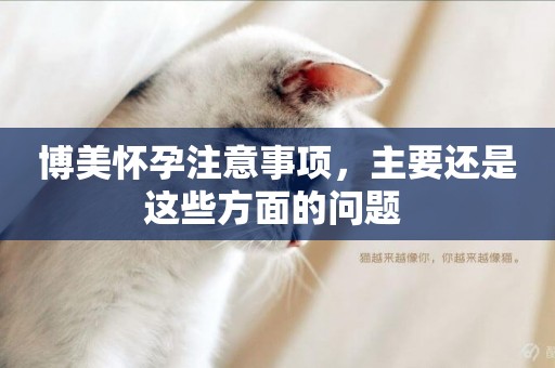博美懷孕注意事項，主要還是這些方面的問題 