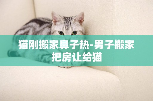 貓剛搬家鼻子熱-男子搬家把房讓給貓
