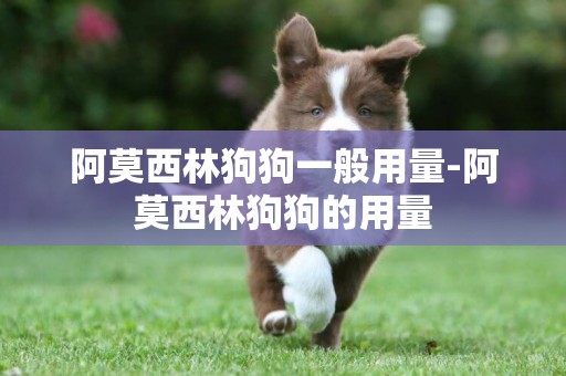 阿莫西林狗狗一般用量-阿莫西林狗狗的用量