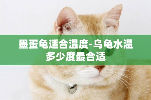 墨蛋龜適合溫度-烏龜水溫多少度最合適