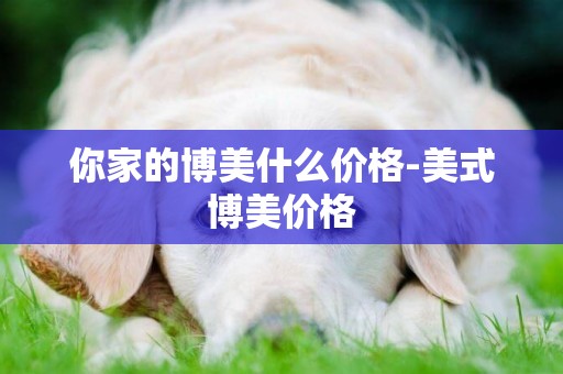 你家的博美什么價格-美式博美價格