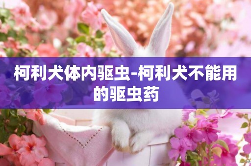 柯利犬體內驅蟲-柯利犬不能用的驅蟲藥