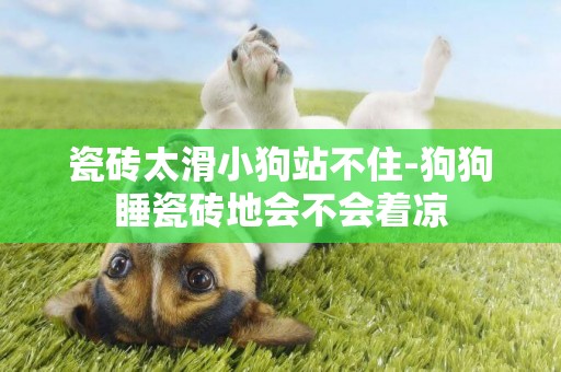 瓷磚太滑小狗站不住-狗狗睡瓷磚地會不會著涼
