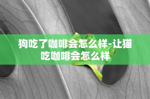 狗吃了咖啡會怎么樣-讓貓吃咖啡會怎么樣