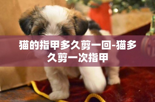 貓的指甲多久剪一回-貓多久剪一次指甲