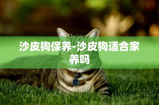 沙皮狗保養-沙皮狗適合家養嗎