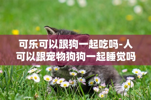 可樂可以跟狗一起吃嗎-人可以跟寵物狗狗一起睡覺嗎