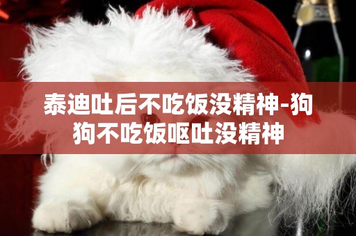 泰迪吐后不吃飯沒精神-狗狗不吃飯嘔吐沒精神