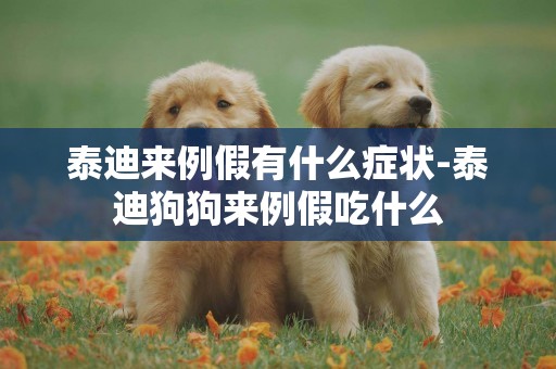 泰迪來例假有什么癥狀-泰迪狗狗來例假吃什么
