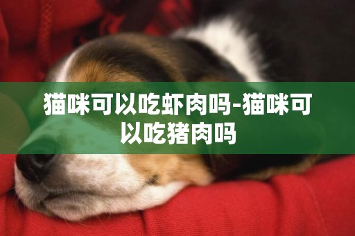 貓咪可以吃蝦肉嗎-貓咪可以吃豬肉嗎