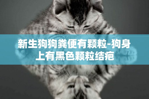新生狗狗糞便有顆粒-狗身上有黑色顆粒結疤