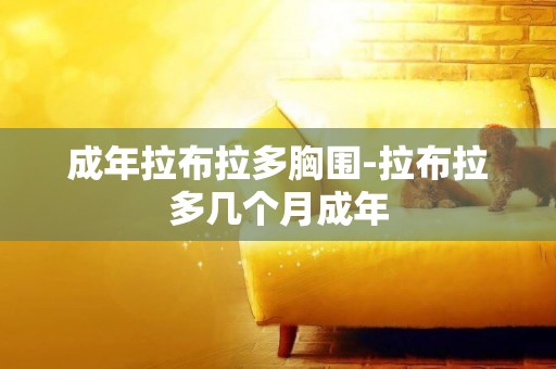成年拉布拉多胸圍-拉布拉多幾個月成年