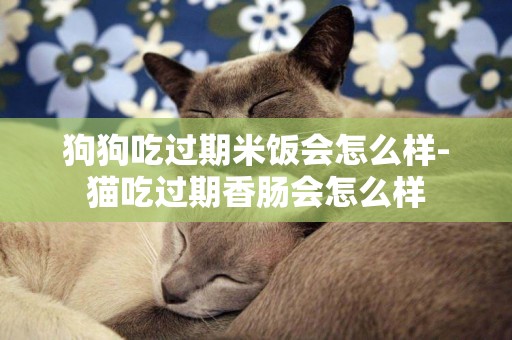 狗狗吃過期米飯會怎么樣-貓吃過期香腸會怎么樣