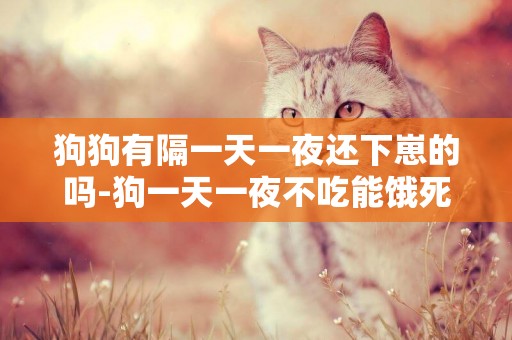 狗狗有隔一天一夜還下崽的嗎-狗一天一夜不吃能餓死嗎