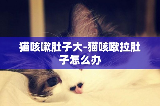 貓咳嗽肚子大-貓咳嗽拉肚子怎么辦