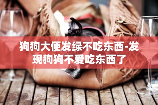 狗狗大便發綠不吃東西-發現狗狗不愛吃東西了