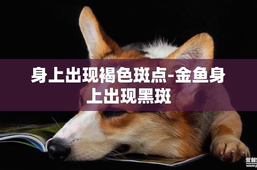 身上出現褐色斑點-金魚身上出現黑斑