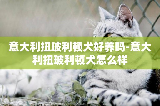 意大利扭玻利頓犬好養嗎-意大利扭玻利頓犬怎么樣