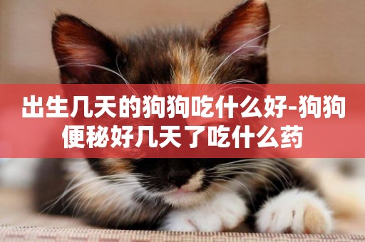 出生幾天的狗狗吃什么好-狗狗便秘好幾天了吃什么藥