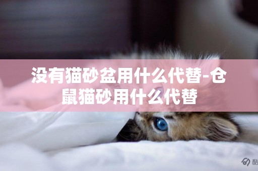 沒有貓砂盆用什么代替-倉鼠貓砂用什么代替