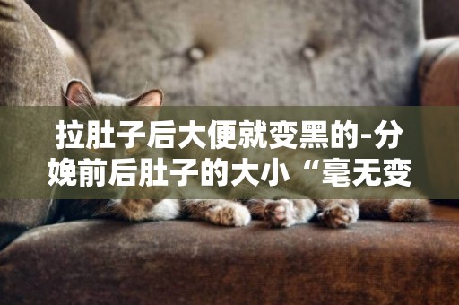 拉肚子后大便就變黑的-分娩前后肚子的大小“毫無變化”