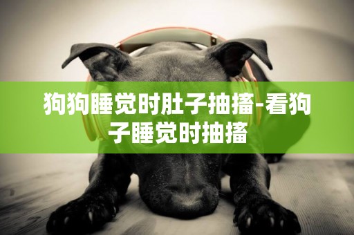 狗狗睡覺時肚子抽搐-看狗子睡覺時抽搐