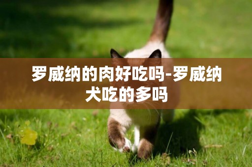 羅威納的肉好吃嗎-羅威納犬吃的多嗎