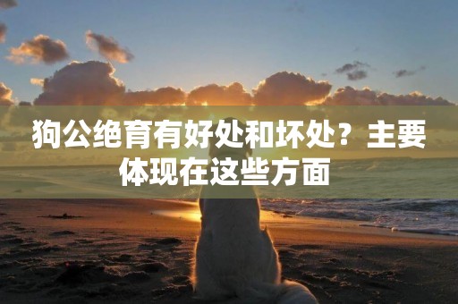 狗公絕育有好處和壞處？主要體現在這些方面 