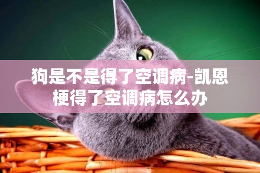 狗是不是得了空調病-凱恩梗得了空調病怎么辦
