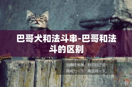 巴哥犬和法斗串-巴哥和法斗的區別