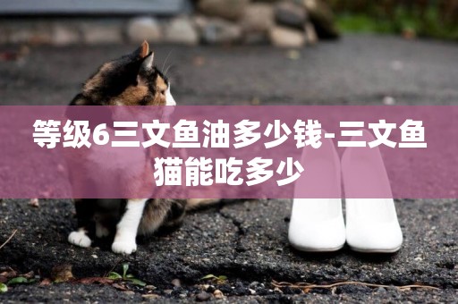 等級6三文魚油多少錢-三文魚貓能吃多少