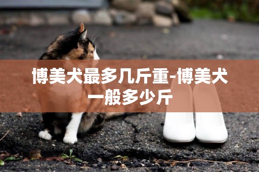 博美犬最多幾斤重-博美犬一般多少斤