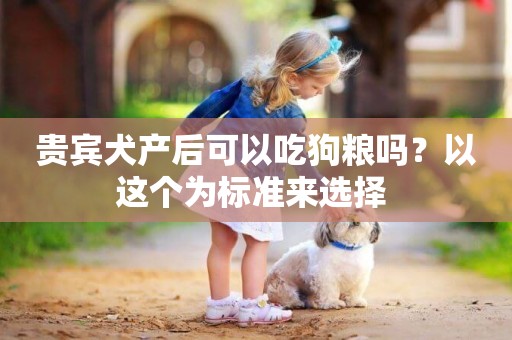 貴賓犬產后可以吃狗糧嗎？以這個為標準來選擇 