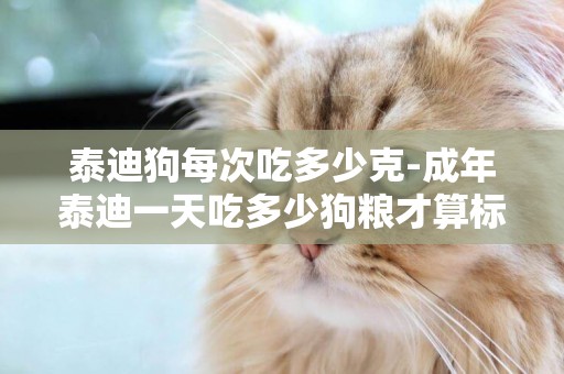 泰迪狗每次吃多少克-成年泰迪一天吃多少狗糧才算標準