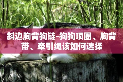 斜邊胸背狗鏈-狗狗項圈、胸背帶、牽引繩該如何選擇