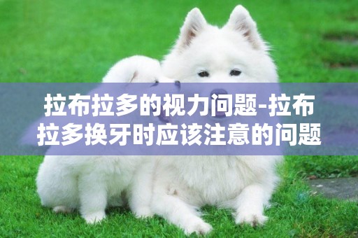 拉布拉多的視力問題-拉布拉多換牙時應該注意的問題