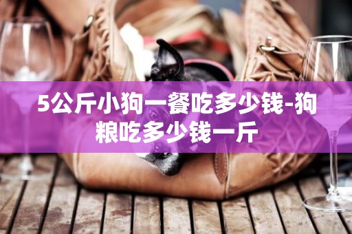 5公斤小狗一餐吃多少錢-狗糧吃多少錢一斤