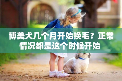 博美犬幾個月開始換毛？正常情況都是這個時候開始 