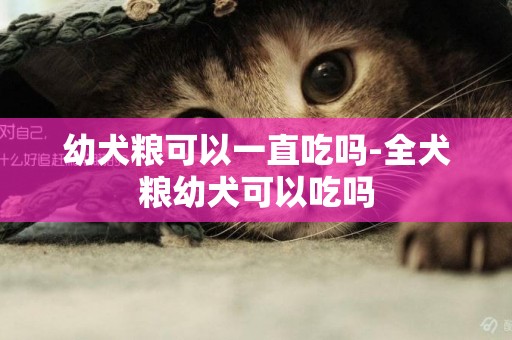 幼犬糧可以一直吃嗎-全犬糧幼犬可以吃嗎