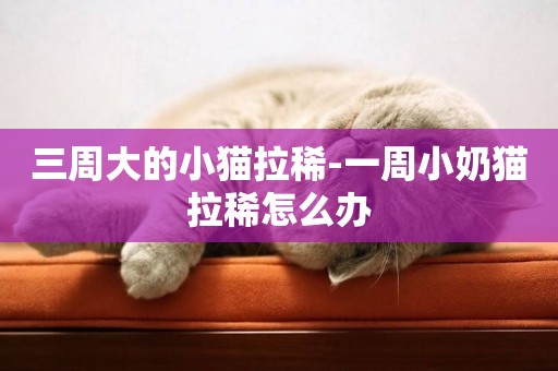 三周大的小貓拉稀-一周小奶貓拉稀怎么辦