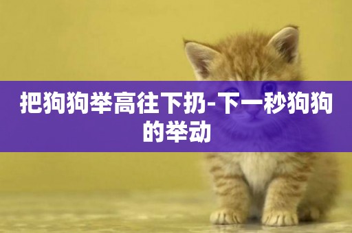 把狗狗舉高往下扔-下一秒狗狗的舉動