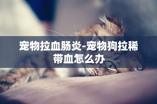 寵物拉血腸炎-寵物狗拉稀帶血怎么辦