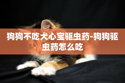 狗狗不吃犬心寶驅蟲藥-狗狗驅蟲藥怎么吃