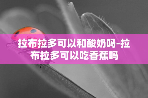 拉布拉多可以和酸奶嗎-拉布拉多可以吃香蕉嗎