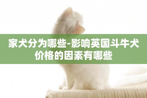 家犬分為哪些-影響英國斗牛犬價格的因素有哪些
