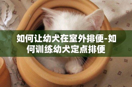 如何讓幼犬在室外排便-如何訓練幼犬定點排便