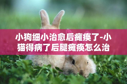 小狗細小治愈后癱瘓了-小貓得病了后腿癱瘓怎么治